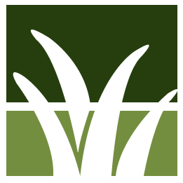 Bellevue Lawn Clean Up