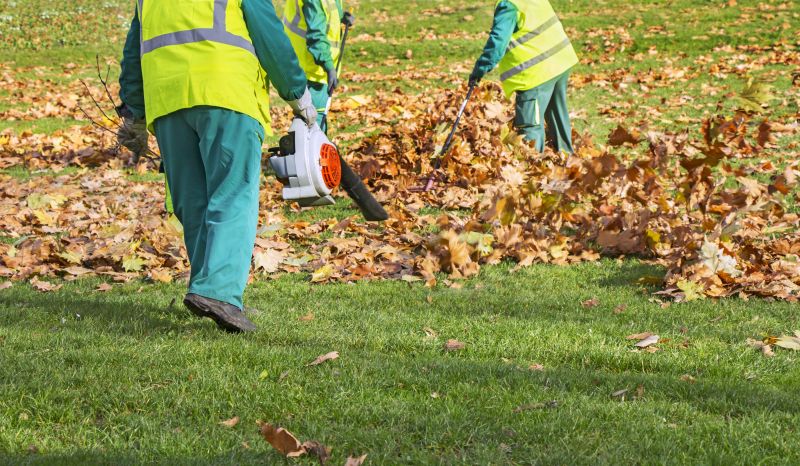 Removing Leaves Safely