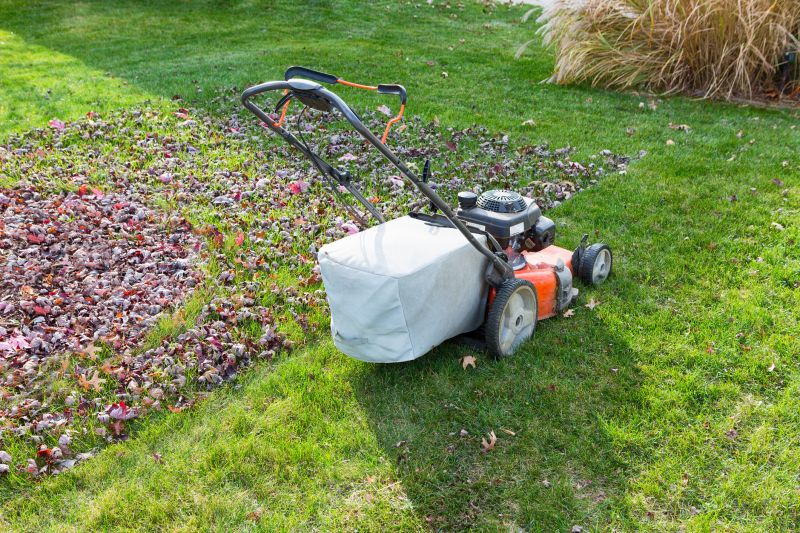 Yard Preparation for Winter