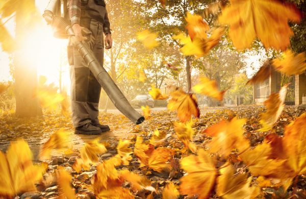 Leaf Blowing Service in Bellevue