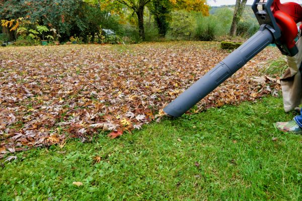 Leaf Vacuuming Service in Bellevue