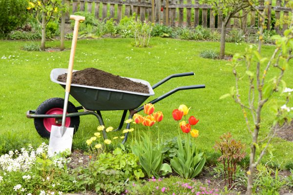Spring Yard Cleanup in Bellevue