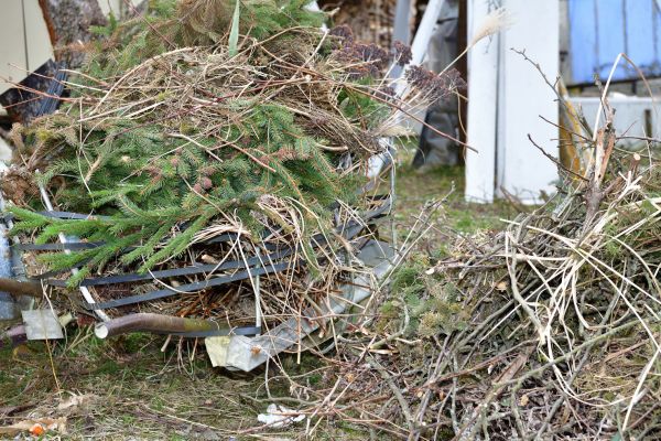 Yard Waste Removal Service in Bellevue