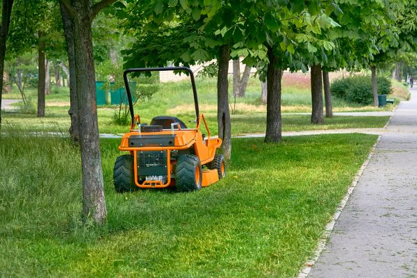 Landscaping Cleanup Service in Bellevue