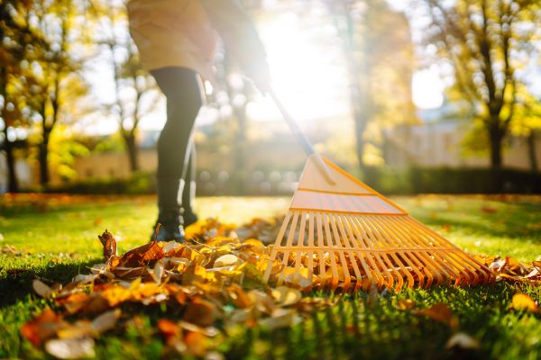 Leaves Raking in Bellevue