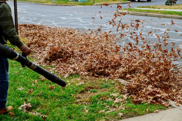 Garden Leaf Removal in Bellevue