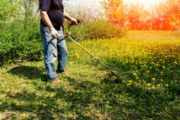 Cost of Yard Clearing Service in Bellevue