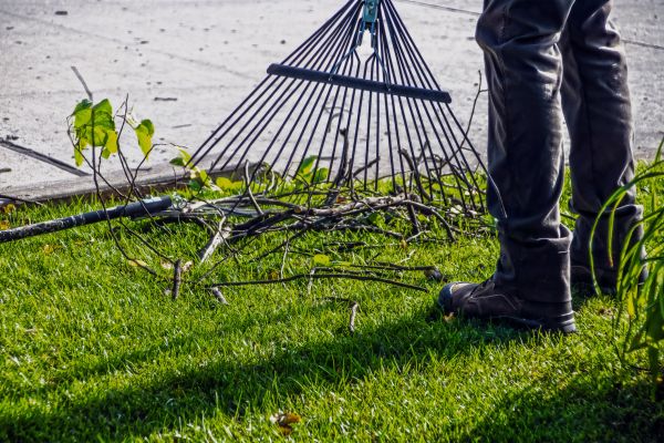 Yard Debris Cleanup in Bellevue
