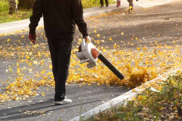Commercial Leaf Removal in Bellevue